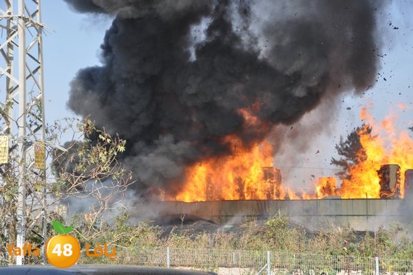 firecartoonsecnd506 (1).JPG